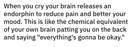 屏幕快照 2019-07-06 下午2.53.18