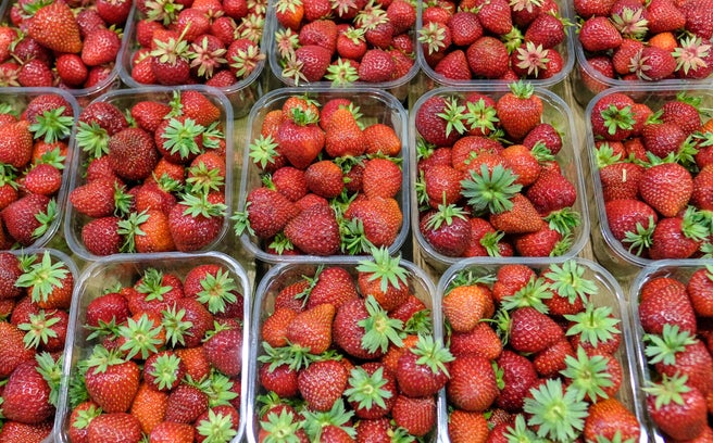 ad32157a9ff527bd47015536f2eb64f2-565343