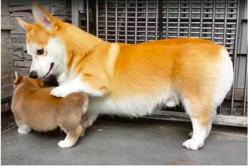 屏幕快照 2019-08-12 下午1.08.24