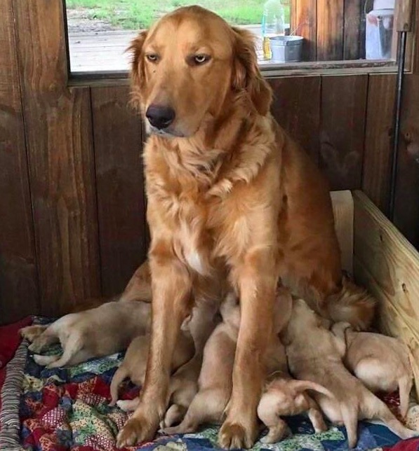 屏幕快照 2019-08-12 下午12.16.41