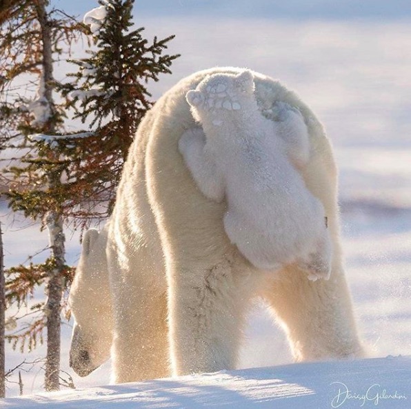 屏幕快照 2019-08-12 下午12.43.14