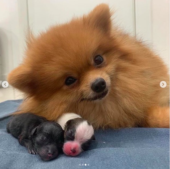 屏幕快照 2019-08-12 下午12.46.35