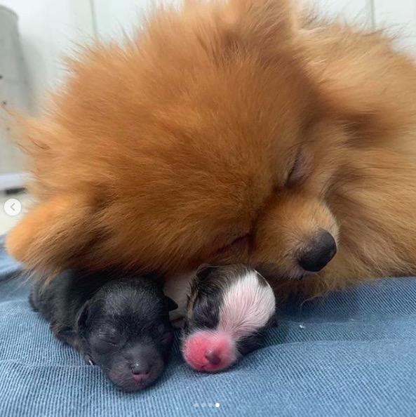 屏幕快照 2019-08-12 下午12.46.40