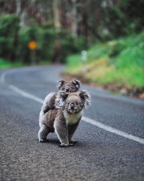 屏幕快照 2019-08-12 下午12.48.50