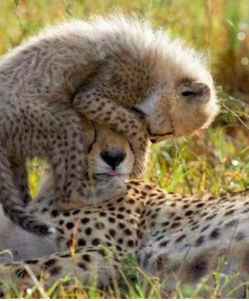 屏幕快照 2019-08-12 下午2.15.22