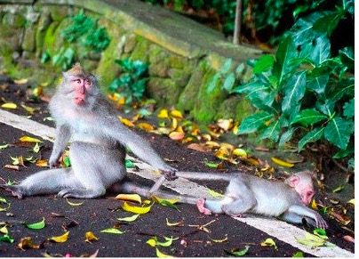 屏幕快照 2019-08-12 下午2.15.40