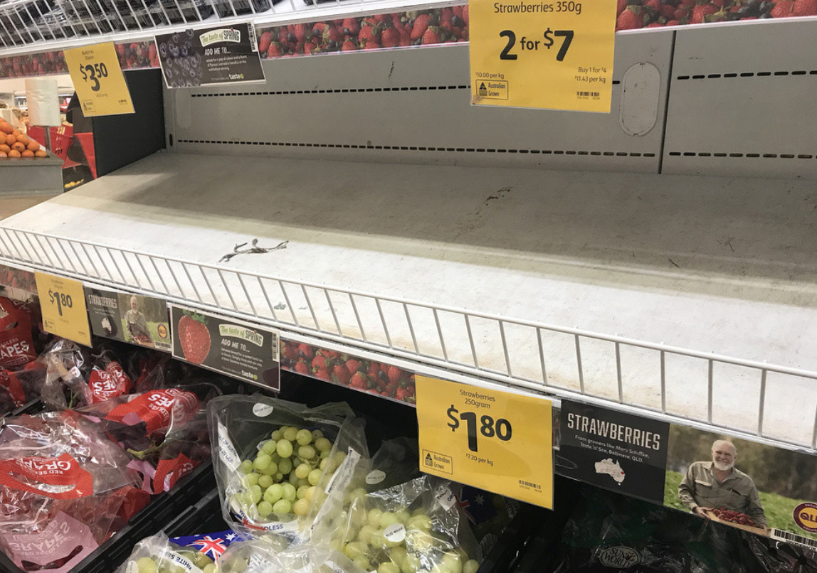 微信图片_20190831171111_副本