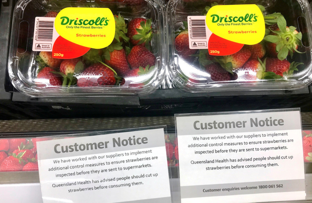 微信图片_20190831174852_副本