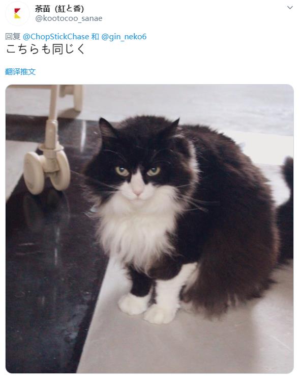 微信截图_20190825135914
