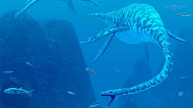 _102380041_plesiosaurspl