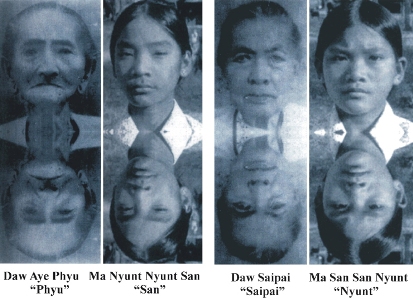 3 Ian Stevenson Twin Study