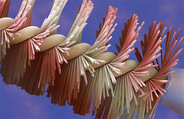 511