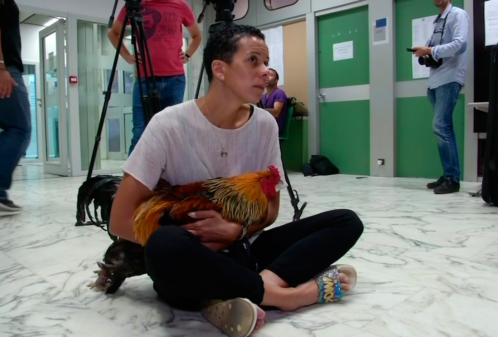 frenchrooster7544394358