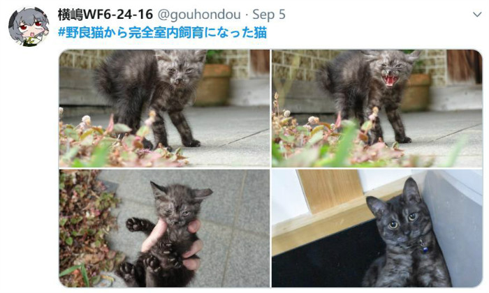 jglfhj (60)