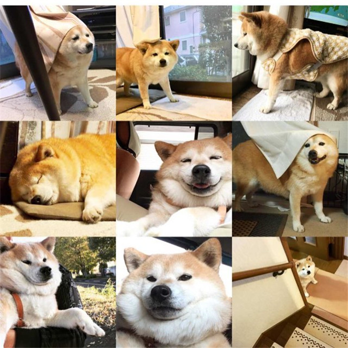 kentatomaru_25011213_1584637811624329_5260045231935455232_n