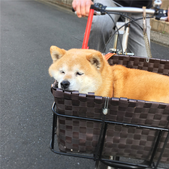 kentatomaru_29094625_161184141252762_6377665945069944832_n