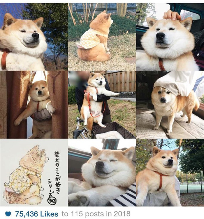 kentatomaru_47693325_1927610953954403_2625893452521961780_n