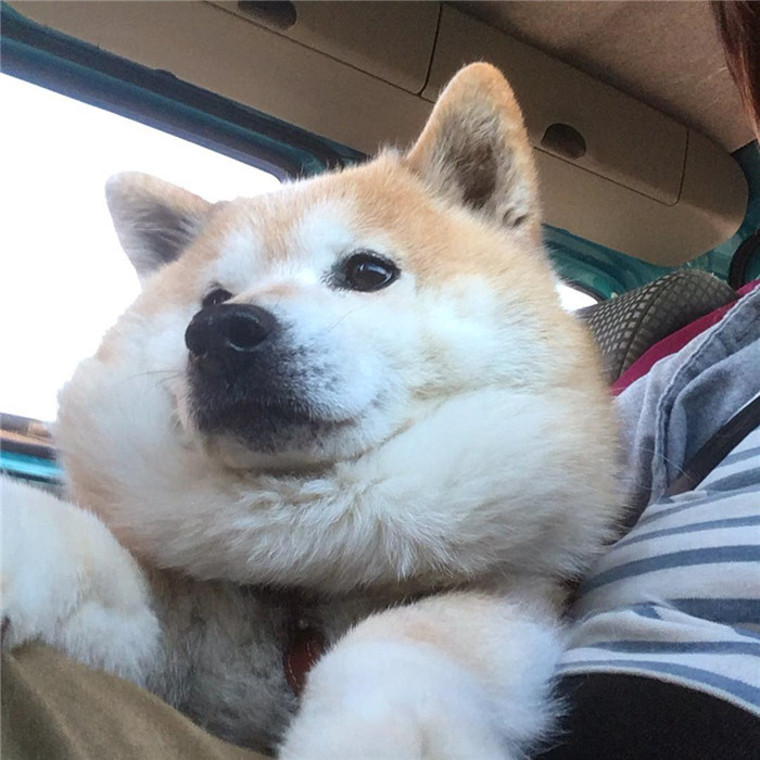 kentatomaru_55920924_534543870282828_1334008657014360754_n