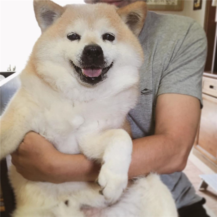 kentatomaru_69513839_791936274555165_3293238722388136897_n