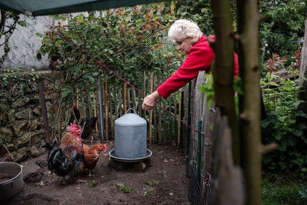 merlin_156502626_5c60349c-ce66-4fb6-b0fc-ccf7da3ed7cb-articleLarge