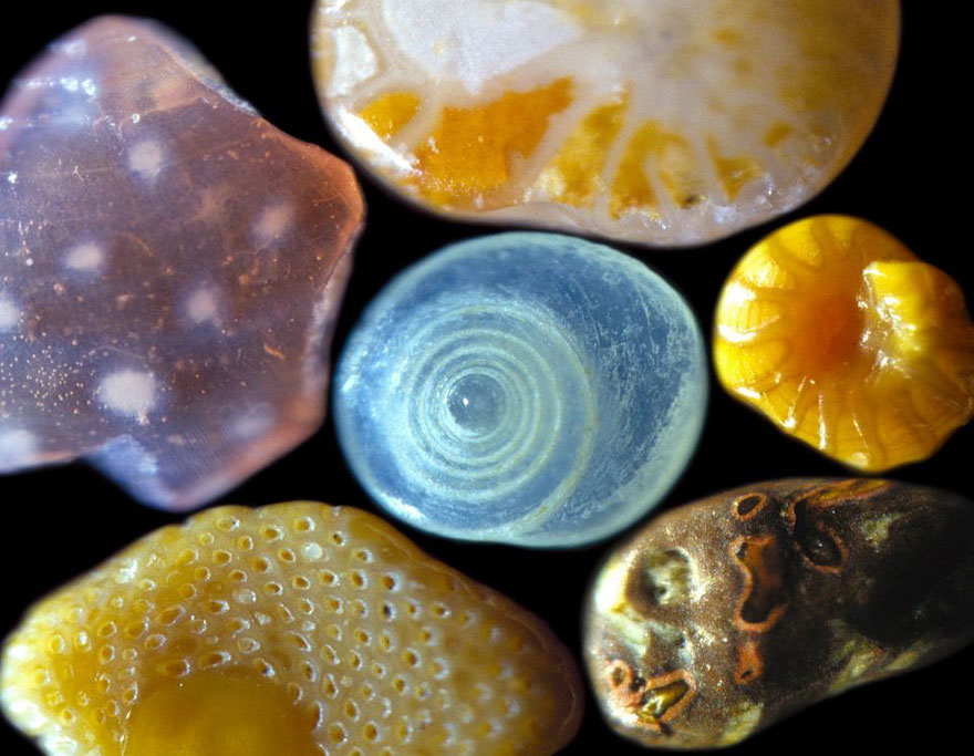 sand-grains-under-microscope-gary-greenberg-2