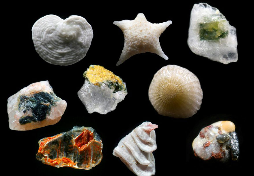 sand-grains-under-microscope-gary-greenberg-3