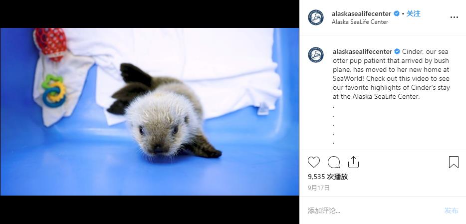 微信截图_20190926184847