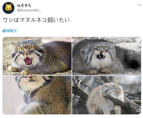 微信截图_20190929174401