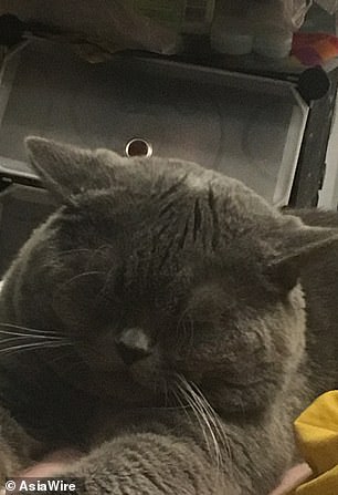 19301552-7538227-He_also_said_that_the_pet_hotel_have_since_apologised_and_offere-a-2_1570237014746