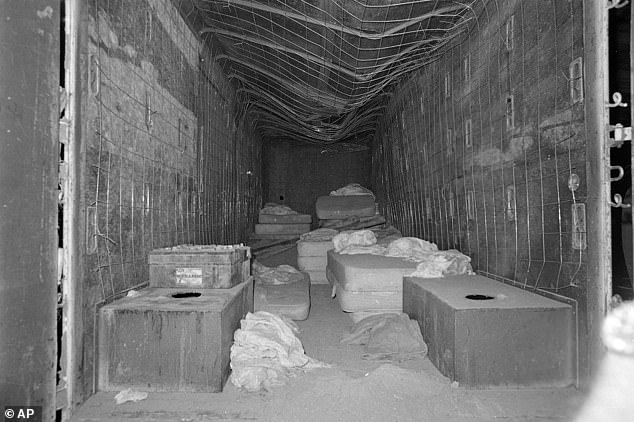 19446086-7550463-image-a-12_1570548768718