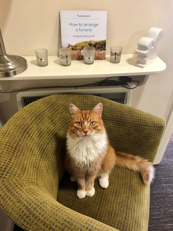 85546026-8507-4786-a7a8-6e20b7f74c07