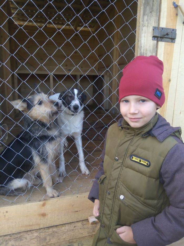 9-year-old-Russian-boy-trades-his-art-for-abandoned-dog-food-and-medicine-5da51e90973a6__700