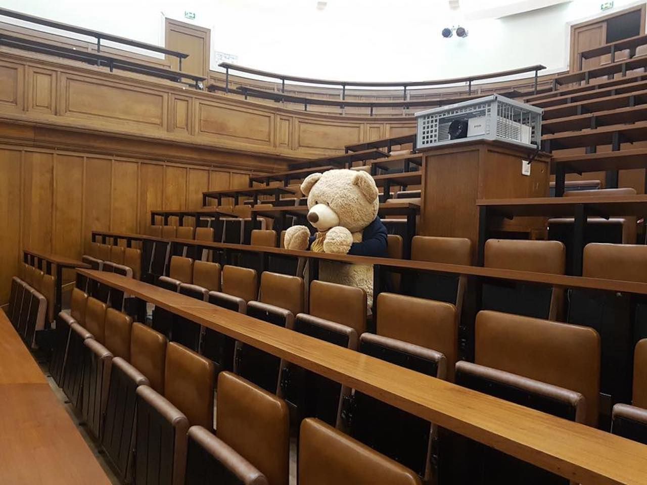Les-nounours-des-gobelins