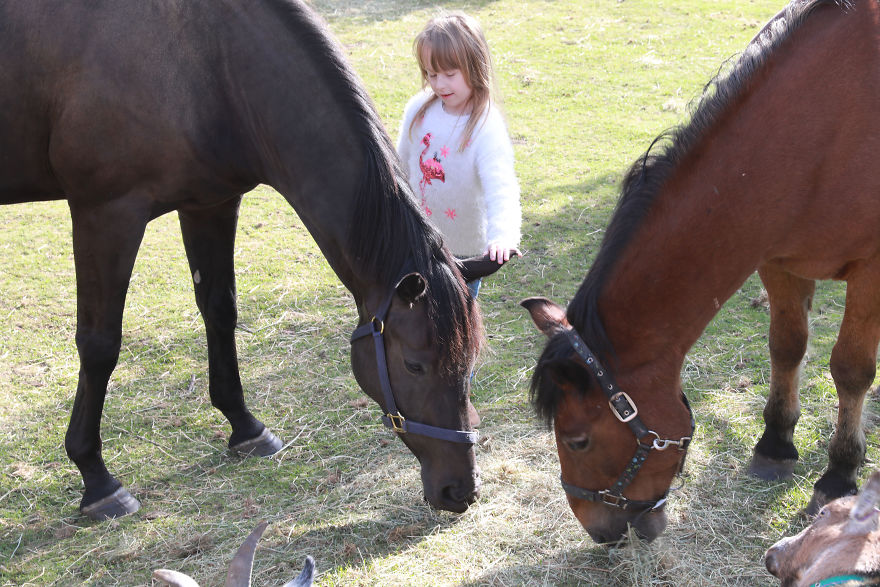 Lexi-and-the-herd-5d8a1ea393de2__880