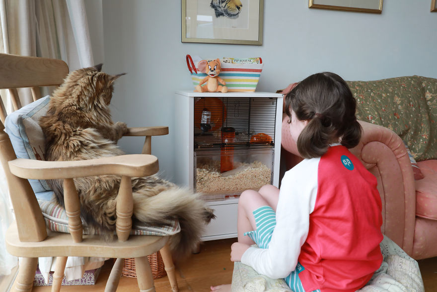 Meet-Our-Animals-That-Are-Changing-Lives-5d8b377706f07__880