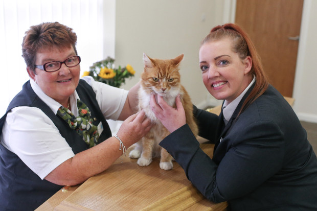 NINTCHDBPICT000530515448