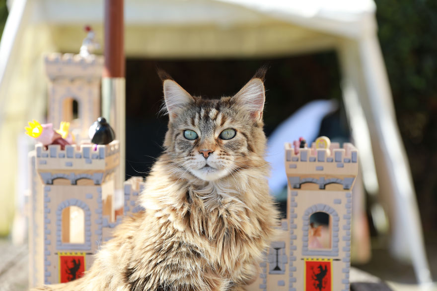 Thula-Queen-5d8a1eddc5f44__880
