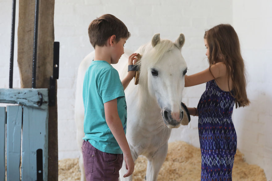 grooming-Blue-5d8a201c2ec10__880