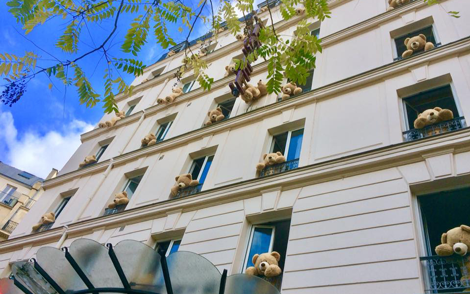 paris-hotel-bears-PARISBEARS1118