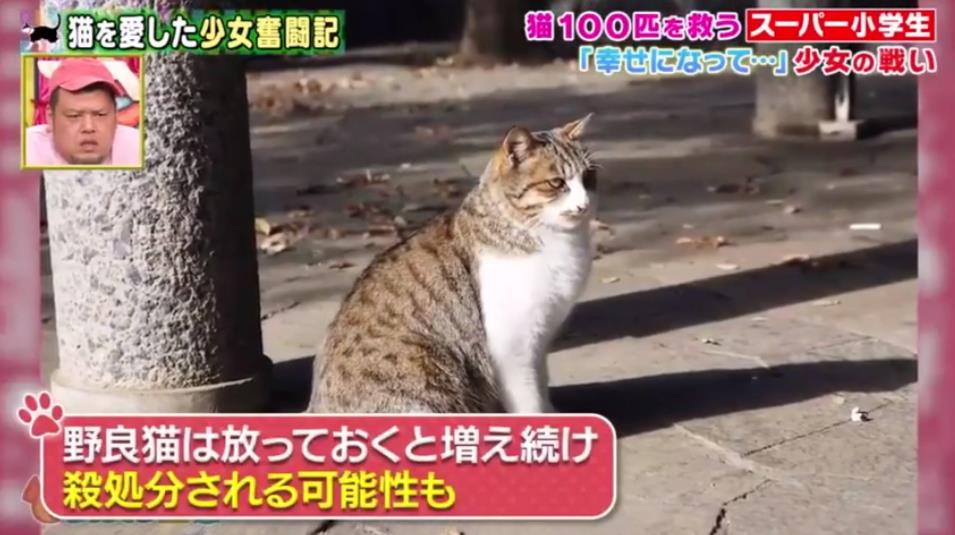 微信截图_20191001151348
