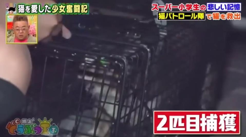 微信截图_20191001151823