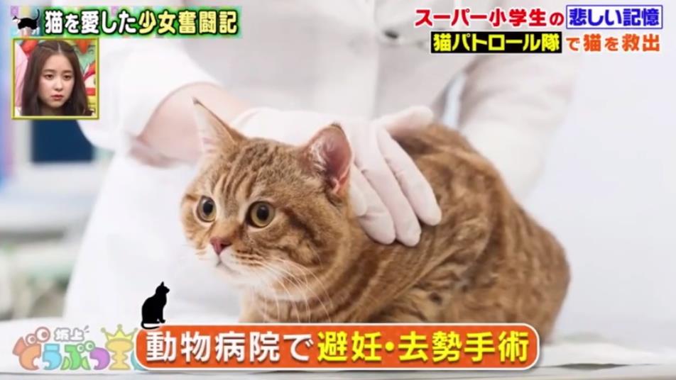 微信截图_20191001151830