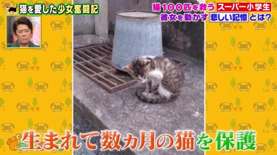 微信截图_20191001151920