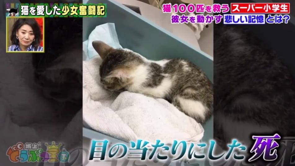 微信截图_20191001151939