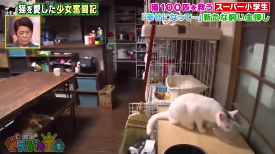 微信截图_20191001152020