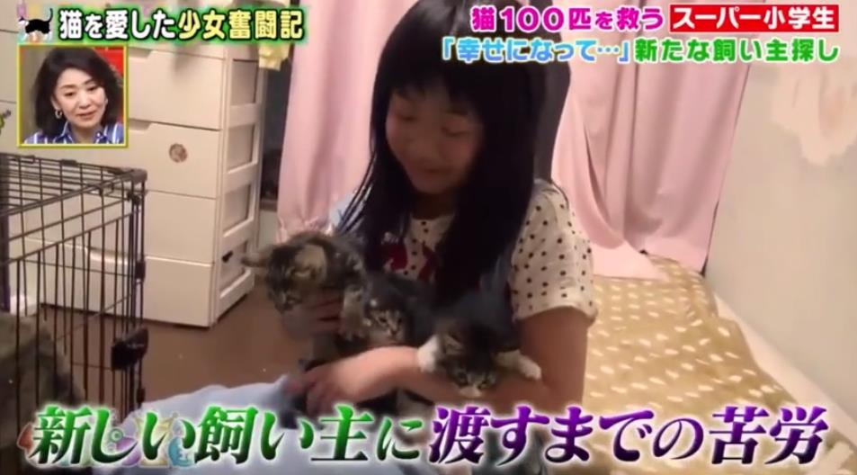 微信截图_20191001152350