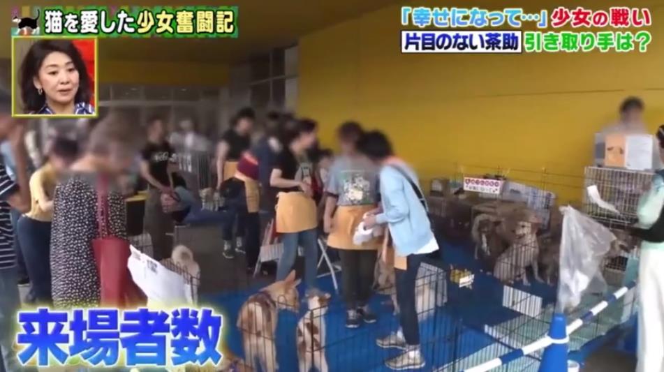 微信截图_20191001152835