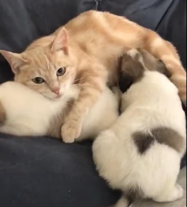 微信截图_20191013182215