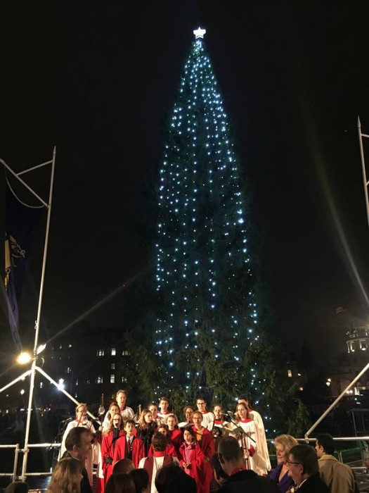 0_Trafalgar-Square-Christmas-tree