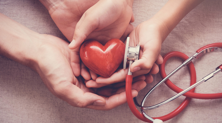 child and adult holding red heart with stethoscope, heart health, health insurance concept
